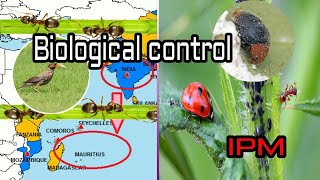 BIOLOGICAL CONTROL Entomology class Tamil [upl. by Doomham]