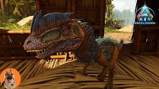 I quotrescuedquot a baby dilophosaurus in ARK Survival Ascended  Ep 1 ARK Ascended [upl. by Ednil613]