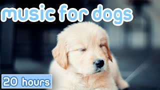 No Ads Music for Dogs 20 Hours of Gentle Calming Songs [upl. by Cressler]