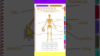 AQA GCSE PE Revision Course Short Bones [upl. by Nylirehc495]