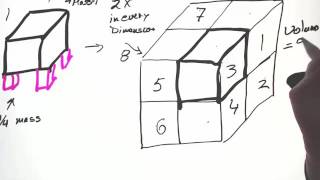 Structure and Function Allometry and Scaling [upl. by Nadean297]