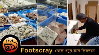 Footscray থেকে প্রচুর মাছ কিনলাম [upl. by Tareyn488]