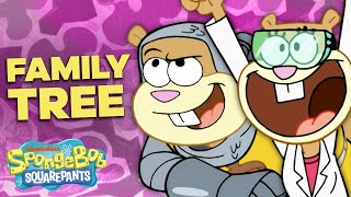 The SANDY CHEEKS Family Tree 👩‍🚀🌳 SpongeBob SquarePants [upl. by Adnilak]