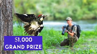 3 Days Remaining to Enter Our 5000 Wildlife Photography Competition [upl. by Latrina]