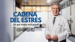 CADENA DEL ESTRÉS ¿En qué etapa está usted [upl. by Wilscam355]