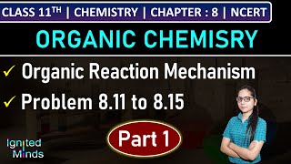 Electrophiles and Nucleophiles  Organic Chemistry  Class 11 Chemistry Chapter 8 [upl. by Trilley437]