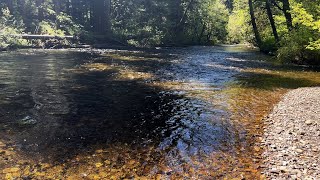 TOP 3 COUNTDOWN OF quotBEST ONEPARTY CAMPSITESquot  Moss Creek Campground  Gifford Pinchot  4K [upl. by Bartosch]