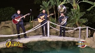 Los De Guamuchil El Lalo Inedita En Vivo Corridos 2016 [upl. by Ujawernalo]