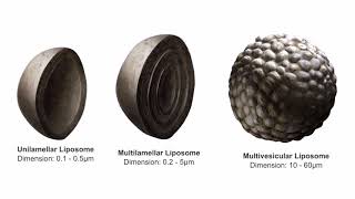 DepoFoam® Technology Mechanism of Action  Exparel bupivacaine liposome injectable suspension [upl. by Huxham]