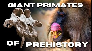 Giant primates of prehistory [upl. by Cacilie]