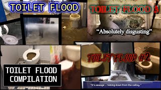 MEGA TOILET FLOOD COMPILATION  SUPER OVERFLOW [upl. by Hcelemile184]