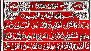 Surah Yaseen amp Manzil Dua  Spiritual Quran Tilawat for Peace amp Mercy  EP 3675 [upl. by Zohara]