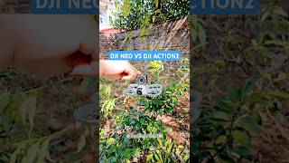 Dji NEO vs DJI OSMO ACTION 2 djineo dji [upl. by Ojiram41]