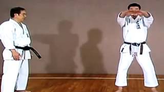 Kanku Dai Kata step by step ISKF Kanazawa Sensei [upl. by Ebenezer]