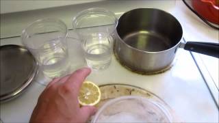 Penicillium isolation from citrus fruit  Part 1 [upl. by Ajup]