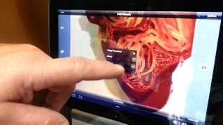 Demonstration Swift Optical Moticam X Wifi Microscope Camera [upl. by John598]