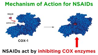 Introduction to Nonsteroidal AntiInflammatory Drugs NSAIDs [upl. by Caralie]