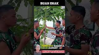 buah kutukan ⁉️ mengerikan [upl. by Formenti]