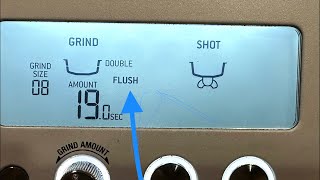 How to Clean  Flush Grinder and shower screen  Breville Barista Pro [upl. by Leahcimdivad]