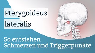 Pterygoideus lateralis Schmerzen Triggerpunkte und deren Aktivierung [upl. by Etnasa]