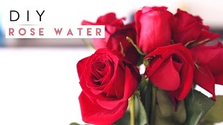 DIY Rose Water Spray [upl. by Patsis]