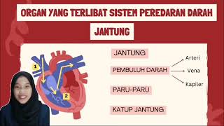 Sistem Perederan Pada ManusiaTugas Pengembangan Bahan Ajar [upl. by Quiteri]