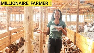 How To Feed GOATS In A Simple Goat Farm Business  Better feeds New kids ROUTINE [upl. by Halle]