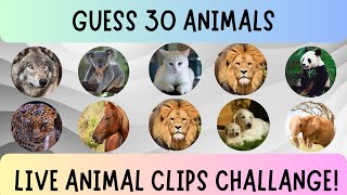 Guess the Animal Challenge video viralvideo guesstheanimal [upl. by Arec]