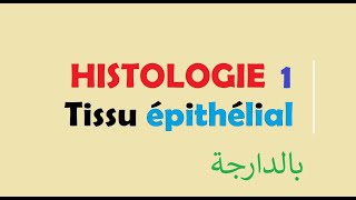 cours HISTOLOGIE Ep 1  Tissu épithélial [upl. by Hadihsar]