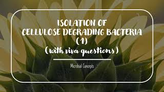 CELLULOSE DEGRADING BACTERIA Cellulases part 1  MSc Microbiology practical series [upl. by Nillad865]