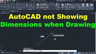 AutoCAD not Showing Dimensions when Drawing [upl. by Suciram275]