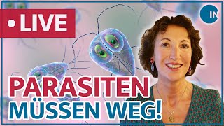 Parasiten – Schmarotzer im Darm  medical INSIGHTS [upl. by Lovel]