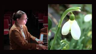 Schumann Schneeglöckchen  Snowdrops Lied One Woman Performance Film amp Snowdrop Pictures [upl. by Prochora]