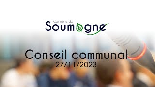 Conseil communal de Soumagne [upl. by Clarie290]