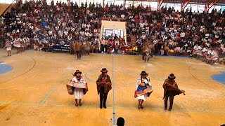 I CONCURSO DE DANZAS ⭐️ INSTITUTO CRISTO REY AYACUCHO 2O24 🇵🇪 está en vivo [upl. by Atteram]