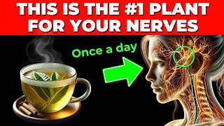 The 1 Plant to Repair Nerves Instantly How to use it  Neuropathy [upl. by Albright]