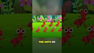 The Ants Go Marching One by One Hurrah Hurrah  kids song shorts shortsvideo [upl. by Tessi644]