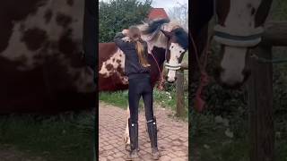 This Horse Is So Smart  horse shorts felinesammy glowfacts [upl. by Langill534]