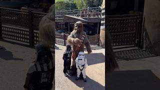 Visiting Chewbacca disneylandcalifornia starwars starwarsland starwarscharacter [upl. by Akihsar]