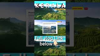 Kerala tea garden shorts youtubeshorts shortsfeed kerala keralatourism keralafood [upl. by Alake]