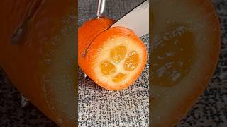 A Citrus With Sweet Skin fruit fruitcutting asmrfood asmr satisfyingvideo citrus kumquat [upl. by Leshia]