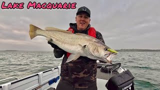 Lake Macquarie fishing  back on the water chasing jewfishmulloway [upl. by Cristiano981]