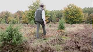 De Tweelingen  boswachterij Hart van Drenthe  Drenthe [upl. by Irtimed]