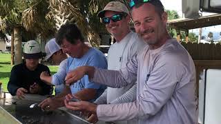 Scalloping in Steinhatchee [upl. by Dwayne]