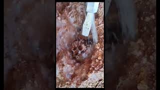 Digging agates quartz crystal gemstone satisfying [upl. by Ylime]