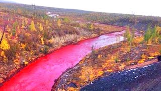 This Russian River Mysteriously Turned Blood Red Then A Nickel Plant Revealed The Horrible Truth [upl. by Anwat705]