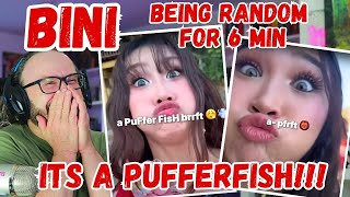 A pufferfish Reacting to BINI being random for 6 minutes [upl. by Enileve]