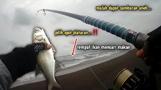 Pilih spot plataran tempat ikan cari makan  Mancing Pasiran [upl. by Bollen178]