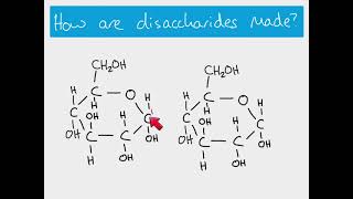 AS Biology  Making and breaking glycosidic bonds [upl. by Shannen]