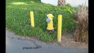 Fire Hydrant Steel Pole Protection  Street Safety [upl. by Airym202]